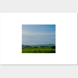 Farm with grazing cattle Posters and Art